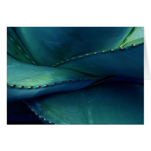 Patronen van Natuur (Voorkant Horizontaal)