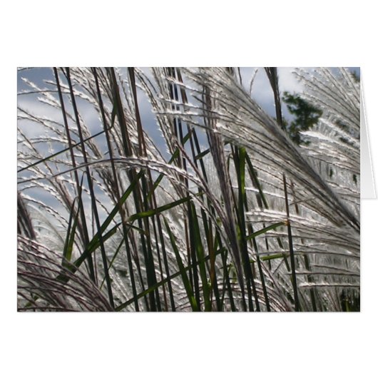 Patronen van Natuur (Voorkant Horizontaal)