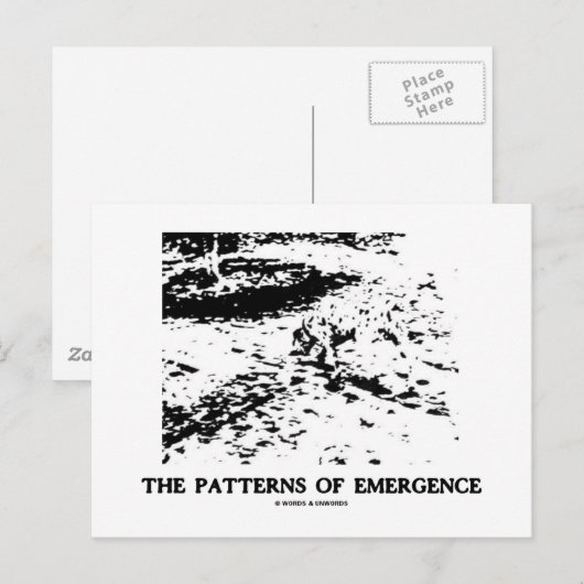 Patronen van opkomst (Dalmatische optische illusie Briefkaart (Voorkant / Achterkant)