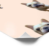 patroon_1_franse buldog_1 glanzend poster (Hoek)