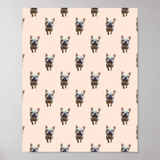 patroon_1_franse buldog_1 matte poster (Voorkant)