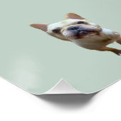 patroon_2_franse buldog_2 glanzend poster (Hoek)