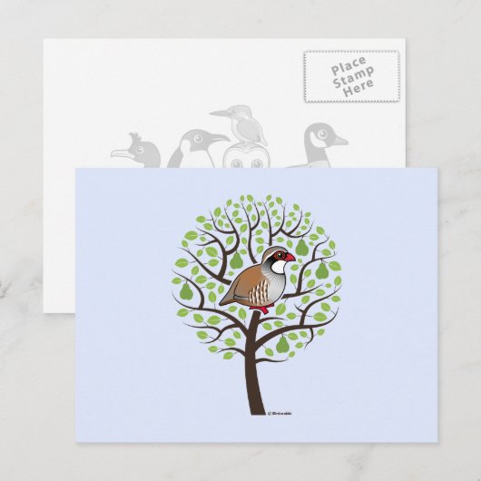 Patroon in een peerboom briefkaart (Voorkant / Achterkant)