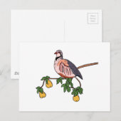 Patroon in een peerboom briefkaart (Voorkant / Achterkant)