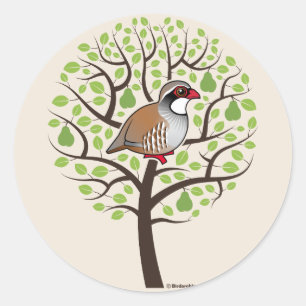 Patroon in een peerboom ronde sticker