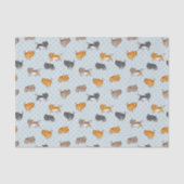 patroon met grappige katten tissuepapier (Voorkant)