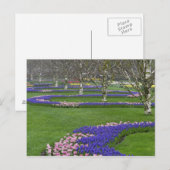 Patroon op de tulpen en de Hyacinth-bloemen van dr Briefkaart (Voorkant / Achterkant)