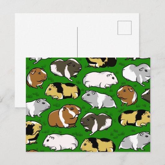 patroon van cavia's briefkaart (Voorkant / Achterkant)