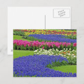Patroon van de Hyacinth van de Grafiek, tulpen, en Briefkaart (Voorkant / Achterkant)
