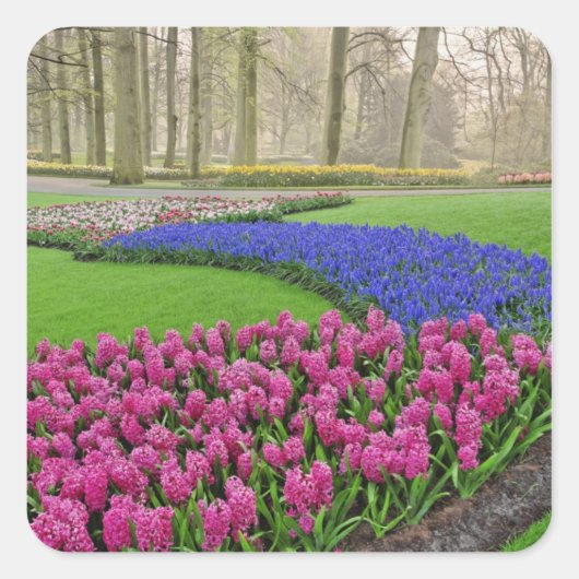 Patroon van de Hyacinth van de Grafiek, tulpen, en Vierkante Sticker (Voorkant)
