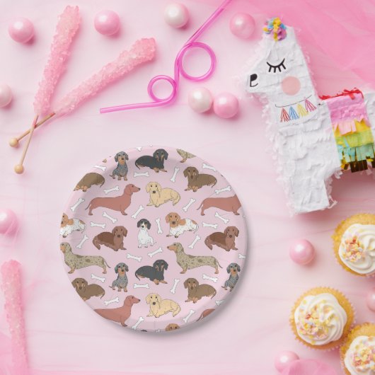 patroon van de variëteit dachshund in roze papieren bordje (Feest)