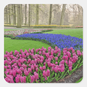 Patroon van druifhyacint, tulpen en 2 vierkante sticker