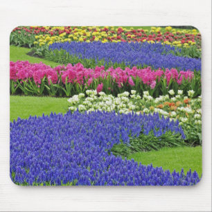 Patroon van druifhyacint, tulpen en 3 muismat