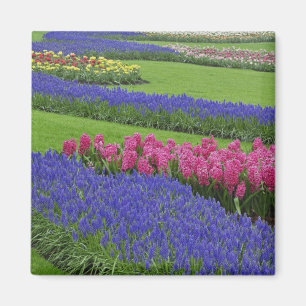 Patroon van druifhyacint, tulpen en magneet