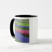 Patroon van druifhyacint, tulpen en mok (Voorkant links)