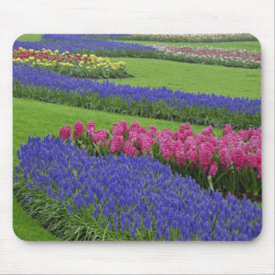 Patroon van druifhyacint, tulpen en muismat