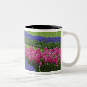 Patroon van druifhyacint, tulpen en tweekleurige koffiemok