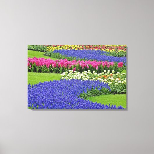 Patroon van Hyacint en Tulpenbloemen in Keukenhof Canvas Afdruk (Voorkant)