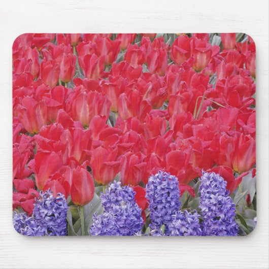 Patroon van hyacinth, tulpen en daffodils, muismat (Voorkant)