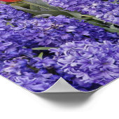 Patroon van hyacinth, tulpen en daffodils, poster (Hoek)