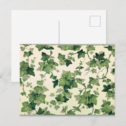 Patroon van kronkelende klimopbladeren briefkaart (Voorkant / Achterkant)