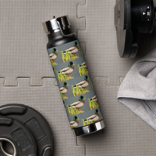 Patroon van mannelijke wilde eend waterfles (Gym)