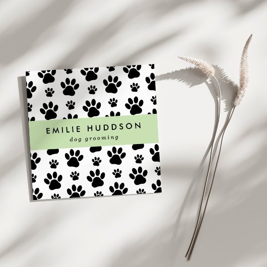 Patroon van poten, tandbaars, tandproever, tandpro vierkante visitekaartje