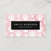 Patroon van poten, tandbaars, tandproever, tandpro visitekaartje (Voorkant)