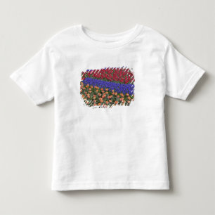 Patroon van tulpen en druifhyacint bloemen, 3 kinder shirts
