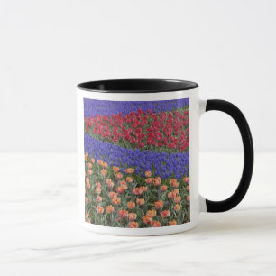 Patroon van tulpen en druifhyacint bloemen, 3 mok