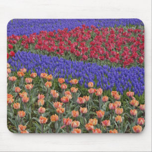 Patroon van tulpen en druifhyacint bloemen, 3 muismat