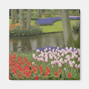 Patroon van tulpen en druifhyacint bloemen, magneet