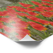 Patroon van tulpen en druivesbloemen, foto afdruk (Hoek)