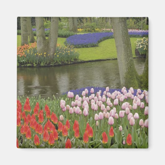 Patroon van tulpen en druivesbloemen, magneet (Voorkant)