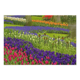 Patroon van tulpen hyacint en druifhyacint foto afdruk