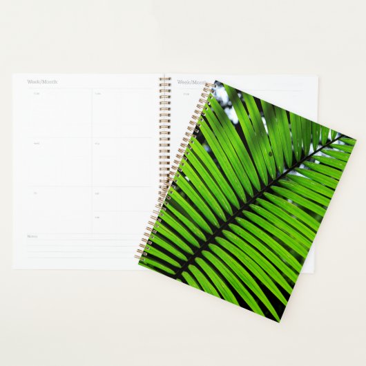 Patroon van varenbladeren planner (Display)