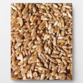 patroon van veel kleine verse tarwekorrels fotoplaat (Voorkant)