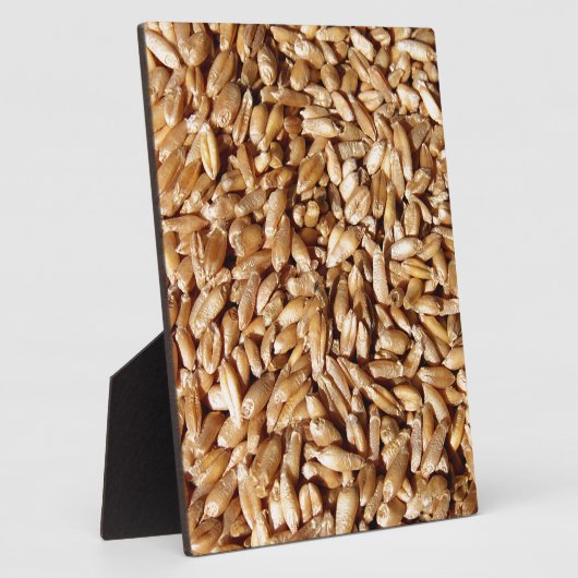 patroon van veel kleine verse tarwekorrels fotoplaat (Zijkant)