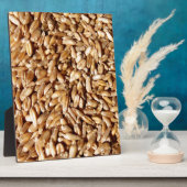 patroon van veel kleine verse tarwekorrels fotoplaat (Zijkant)