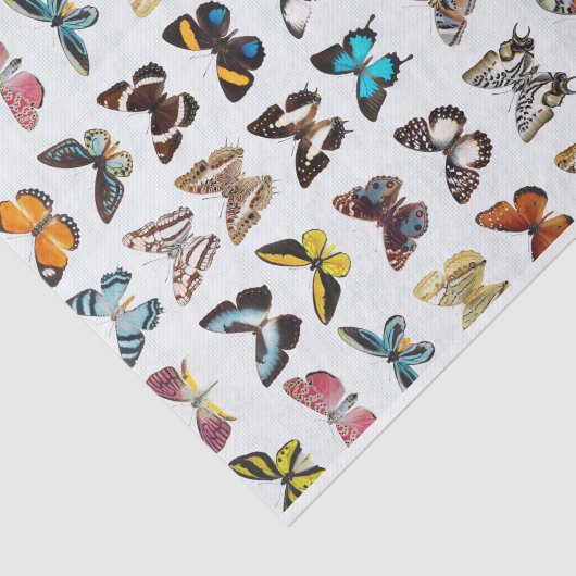 patroon van vlinders tissuepapier (Detail)