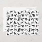  patroon van zwarte en witte florale katten briefkaart (Voorkant / Achterkant)