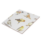 Patroon voor trekvogels tegeltje (Zijkant)