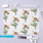 Patroon voor trommel tissuepapier (Craft)