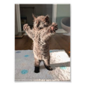 Patsy the bear foto afdruk (Voorkant)