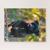 Patterdale Terrier. Legpuzzel (Horizontaal)