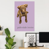 Patterdale Terrier Puppy Poster (Thuiskantoor)