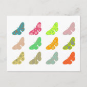 patterflies briefkaart (Voorkant)