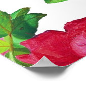Pattern with Red, White and Pink Roses, Poster (Hoek)