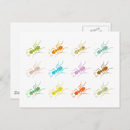 Patterned Ants Briefkaart (Voorkant / Achterkant)