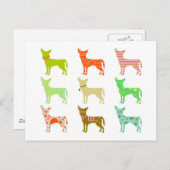 patterned-chihuahuas briefkaart (Voorkant / Achterkant)
